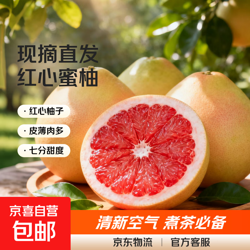 正宗福建平和红心柚子盛源当季新鲜采摘水果蜜柚整箱 红心蜜柚带箱9斤（净重8.5斤）