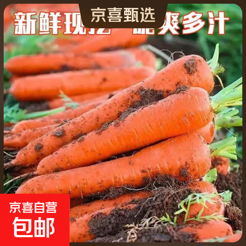 京喜加新鲜胡萝卜当季农家自种萝卜脆爽多汁水果蔬菜 新鲜胡萝卜 2斤 带箱 100g起/支