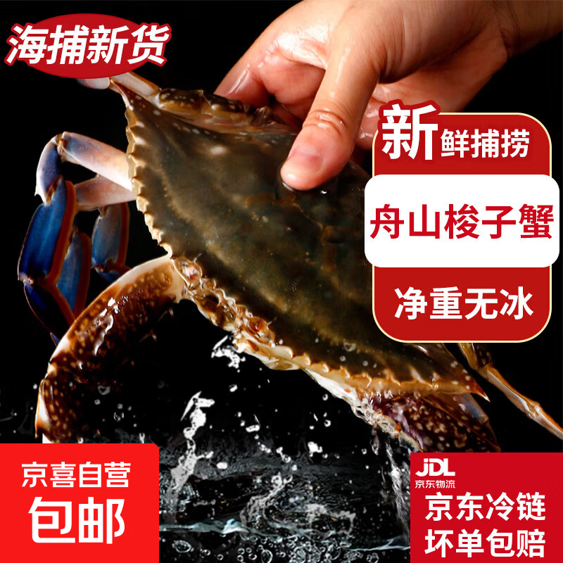 【冷冻】舟山梭子蟹活冻螃蟹飞蟹海鲜水产野生白蟹海蟹净重无冰 当季新货 2-3两/只液氮梭子蟹 3斤装