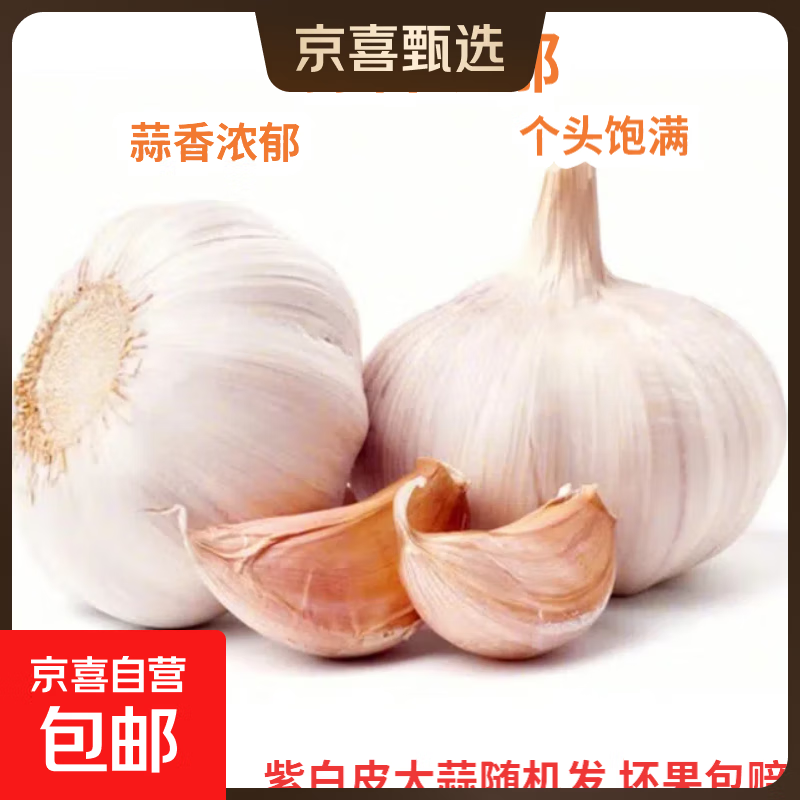 京喜自营精选大蒜水果蒜调料蔬菜火锅烧烤牛肉小龙虾食材 推荐 5-6头 100g 单果3.5-5cm