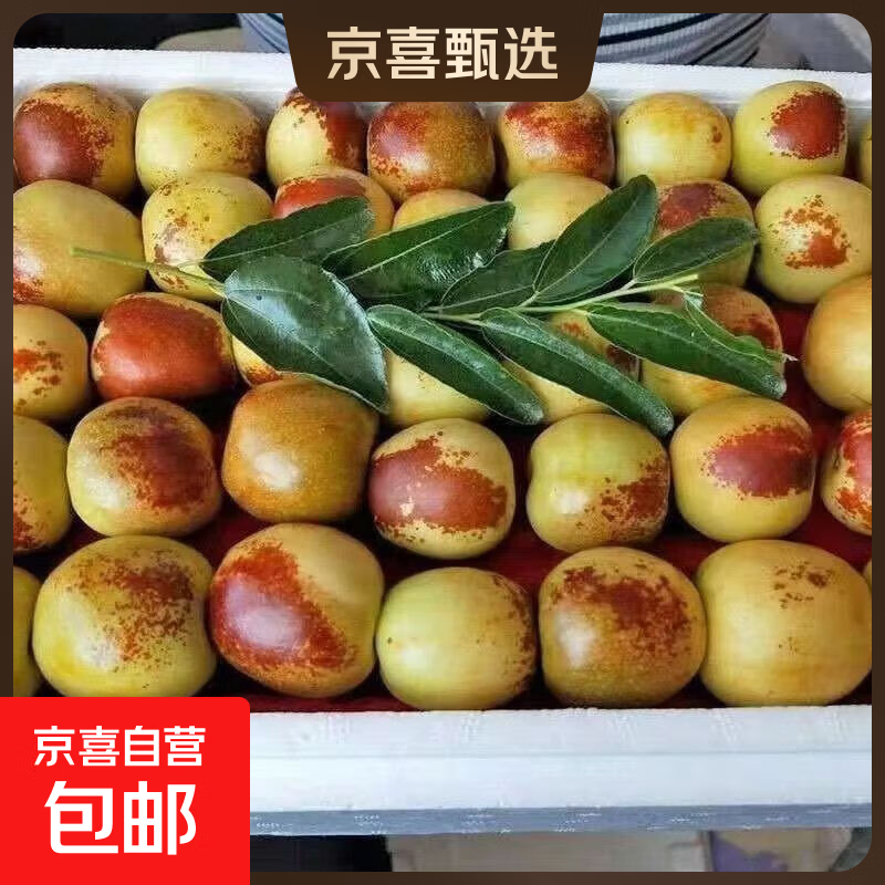 脆甜冬枣新鲜现摘装果园直发当季脆甜大枣子脆甜多汁农家自种批发 带箱2斤装（单果8-12克）