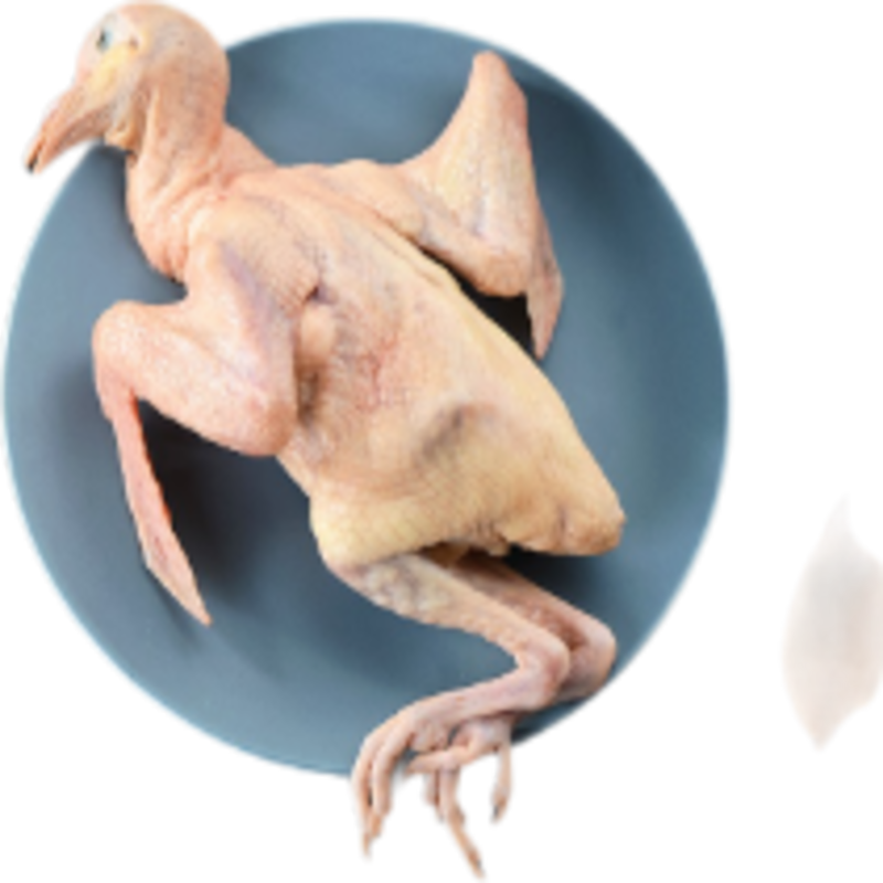 品鮮夫人烤乳鴿果木炭烤鴿子肉半成品新鮮現殺現制加熱即食紅燒土鴿烤乳鴿 【新鮮果木炭烤乳鴿】約130g*2只