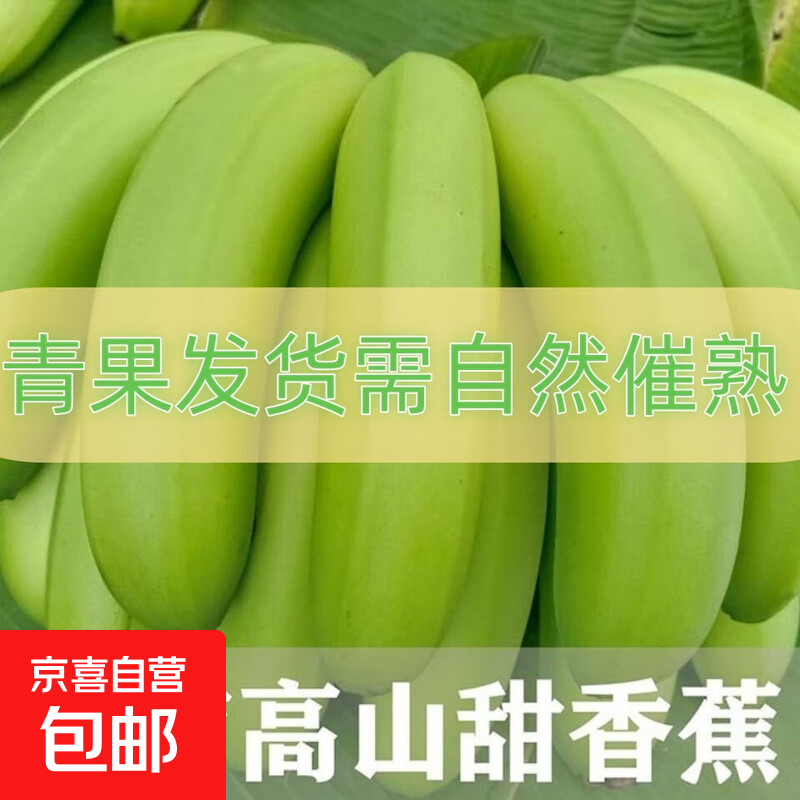 云南高山甜香蕉10斤当季新鲜水果大芭蕉小米蕉甜蕉皇帝蕉整箱包邮 带箱10斤 青蕉发货自行催熟