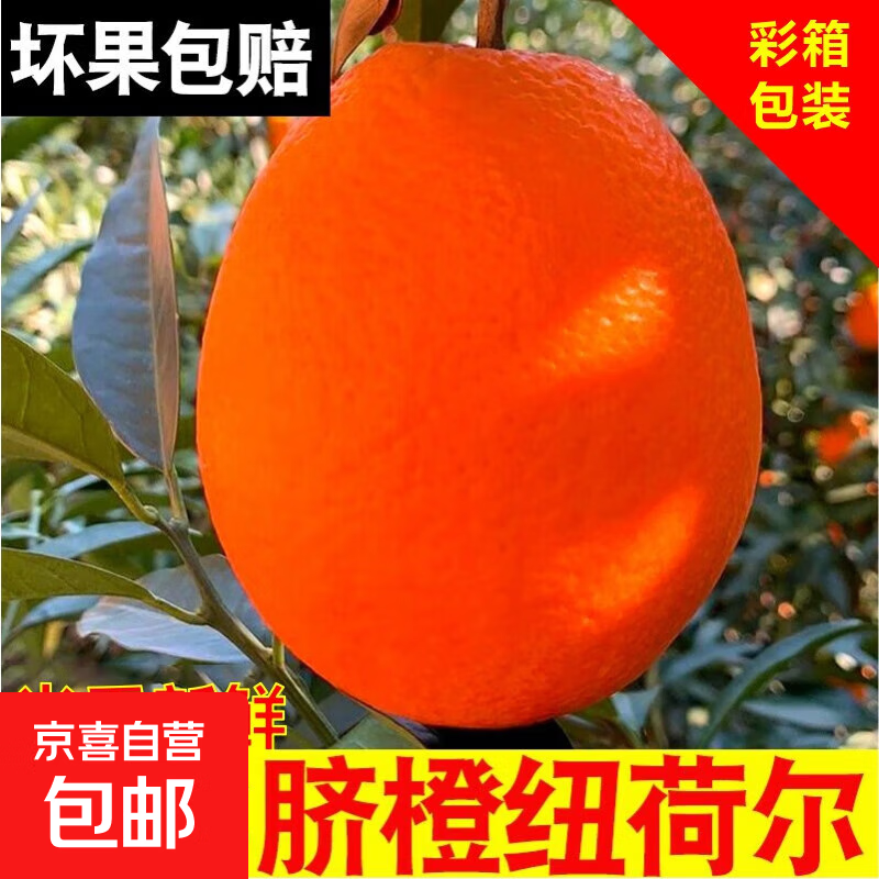 18.9亓！纽荷尔脐橙带箱10斤 - 线报酷