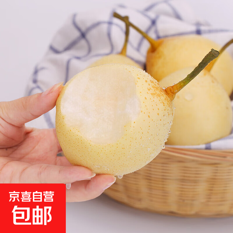 河北水晶鸭梨脆甜多汁新鲜水果产地直发包邮中翠新1 带箱3斤（单果150g+)