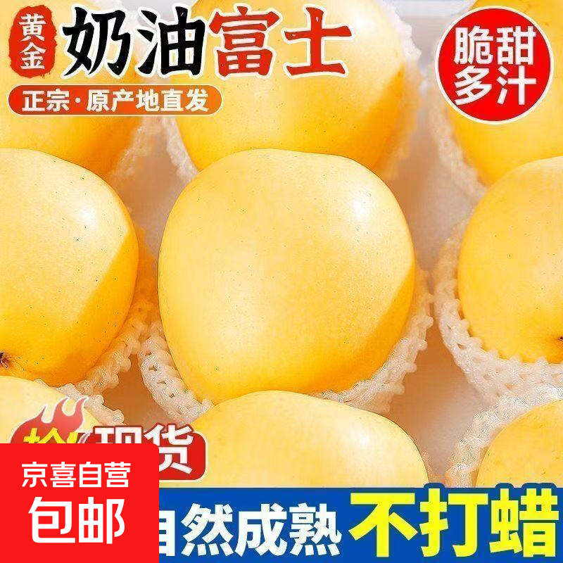 【黄金奶油富士苹果】脆甜多汁山东烟台栖霞奶油富士苹果整箱批发 带箱1斤奶油富士/小果65mm+