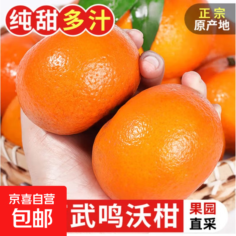 正宗广西武鸣沃柑新鲜现摘现发香甜多汁果园直发 【带箱9斤装】单果70mm+