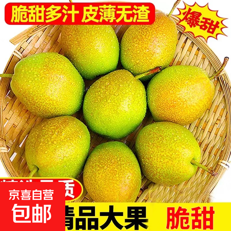 河北特产红香酥梨新鲜水果当季应季脆甜多汁-活动专享新3 红香酥带箱2斤