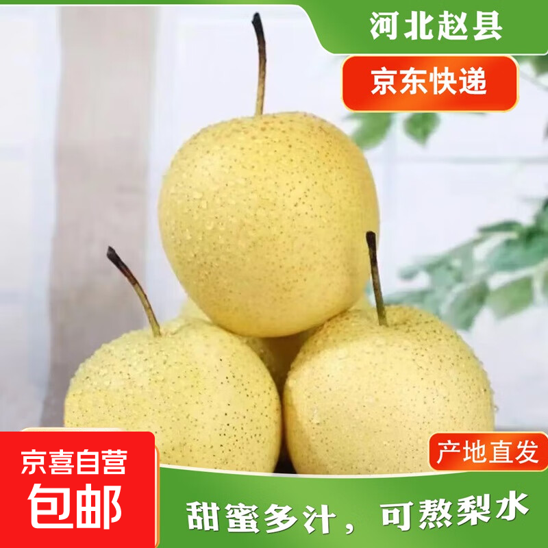赵县雪花梨正宗河北赵县雪花梨新鲜水果产地直发新2 带箱2斤净重1.6-1.8斤