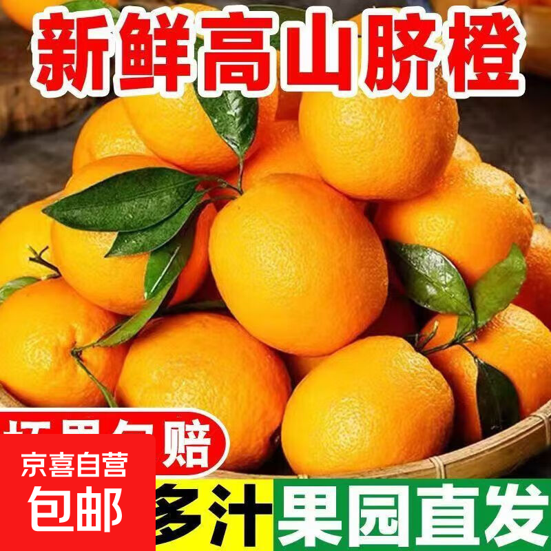湖南橙子怀化纽荷尔高山脐橙手剥柑橘橙子当季孕妇新鲜水果整箱 带箱3斤（净重2.7斤）单果70-80mm