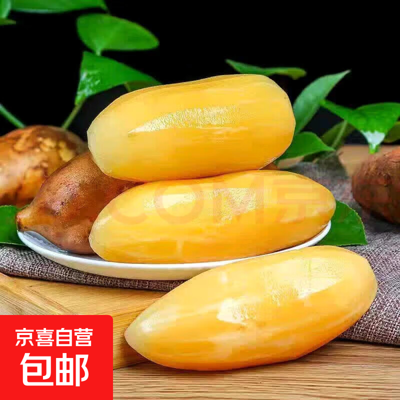 云南现挖新鲜大果低糖黄心雪莲果当季水果-YLZ 雪莲果试吃装带箱350g+