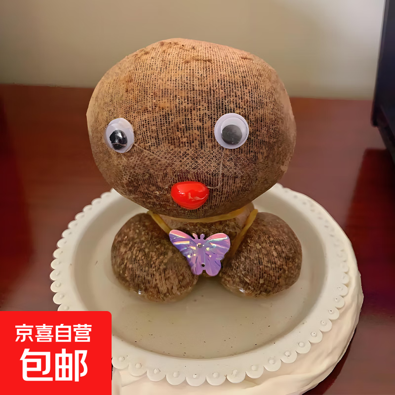 【草头娃娃】创意小盆栽可爱植物趣味长草娃娃办公室儿童水培绿植 长草娃娃1个带托盘 送营养液