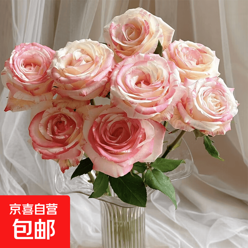 【直播专属】方德玫瑰随机色10支（长度45-55CM520母亲节鲜花礼物 1份