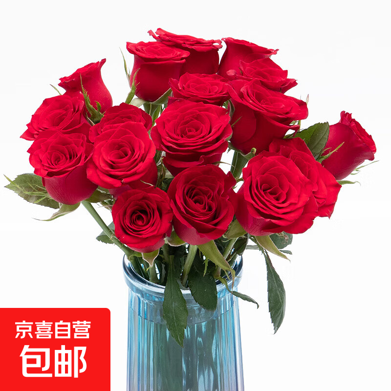 【玫瑰花】京东冷链特价云南鲜花云南基地直发水养花七夕节礼物 红玫瑰18+2枝防损耗