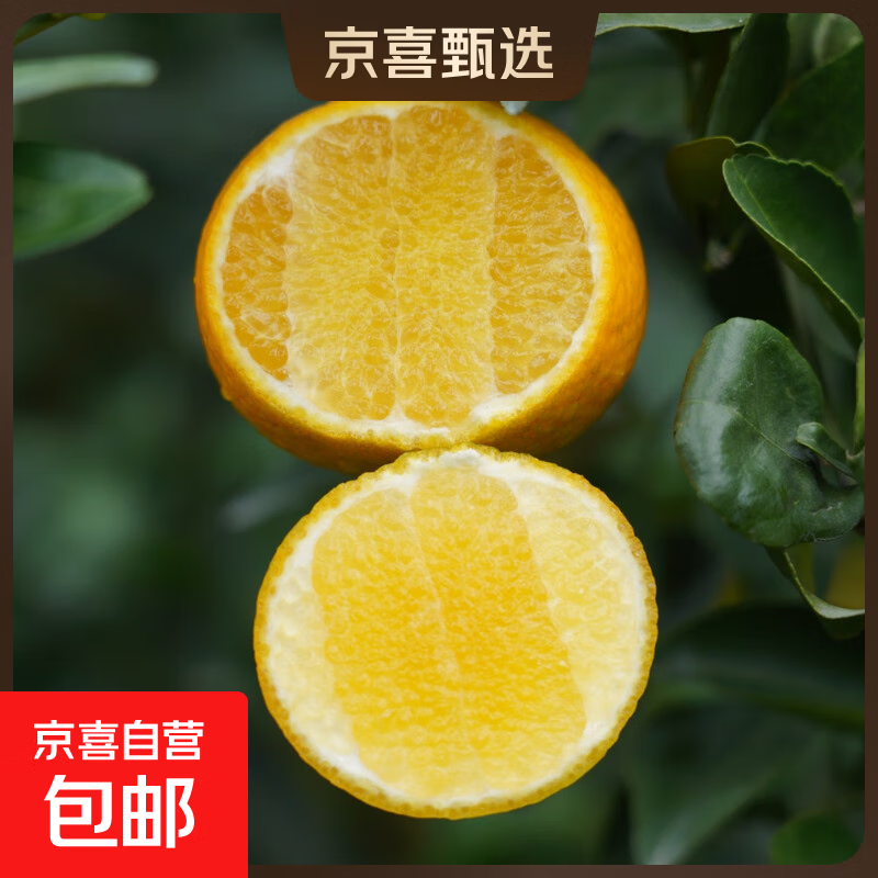 【现摘】广西皇帝柑新鲜贡柑水果柑橘桔子沃柑蜜桔沙糖桔生鲜水果 带箱3斤小果