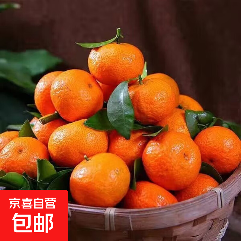 正宗广西砂糖橘当季新鲜水果皮薄多汁无籽橘子 超甜中大果带箱4斤（净重3.6斤）40mm+