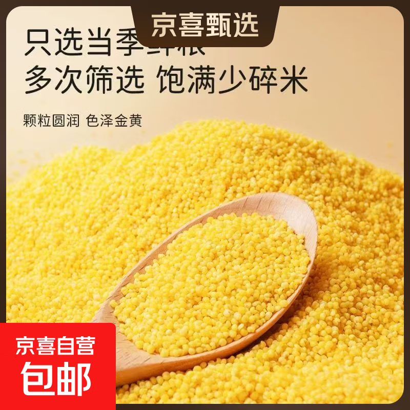 黄小米 油小米月子米 新鲜正宗黄小米新米农家小米粥五谷杂粮 油小米250g