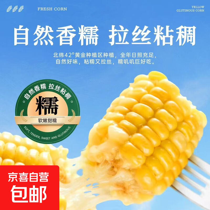 精品黄糯玉米 小棒粘包米黄玉米甜糯玉米软糯拉丝新鲜真空 黄糯玉米2棒（单棒约168g-200g）