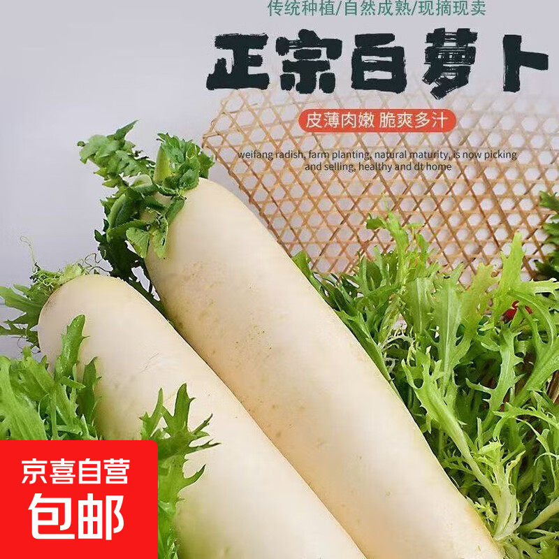 【东东买菜】新鲜白萝卜现挖现发清脆香甜超市生鲜减脂蔬菜 新鲜白萝卜2斤 含箱