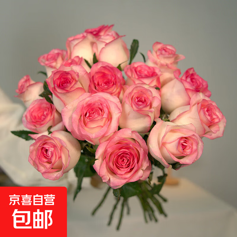云南昆明鲜花基地直发红玫瑰花水养百合花束鲜切花向日葵京东快递 艾莎玫瑰(8支+2支防损耗)