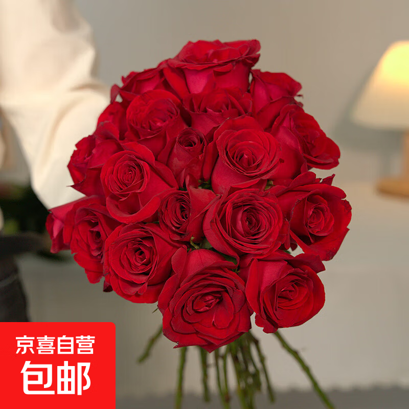 云南昆明鲜花基地直发红玫瑰花水养百合花束鲜切花向日葵京东快递 红玫瑰(8支+2支防损耗)