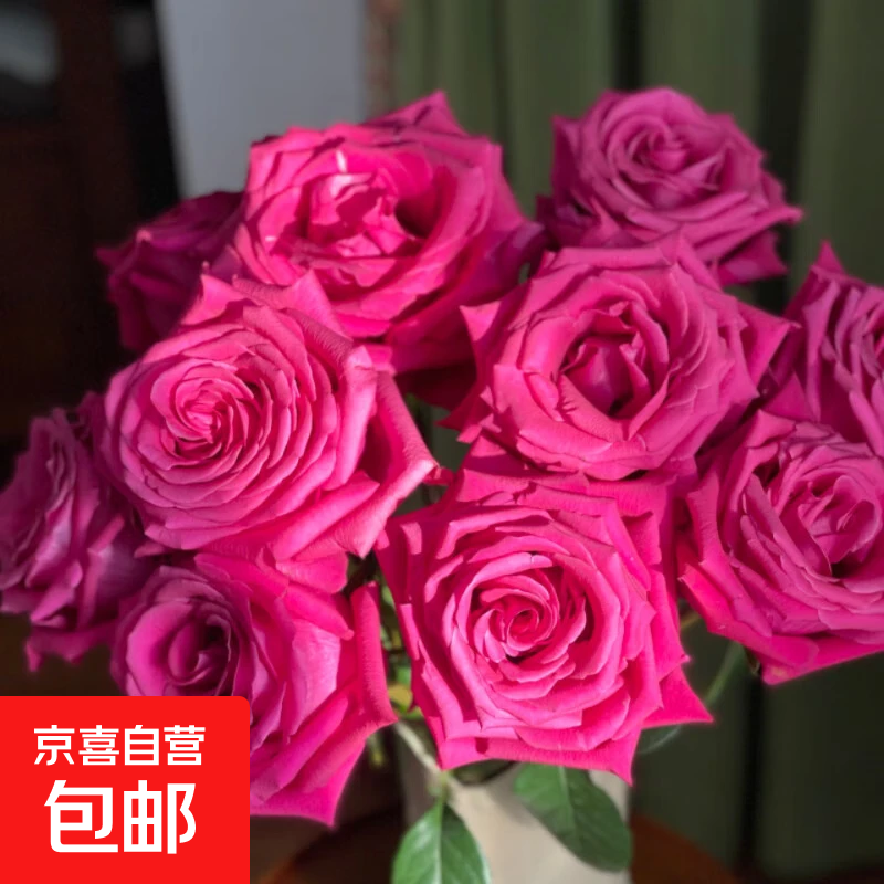 云南昆明鲜花基地直发红玫瑰花水养百合花束鲜切花向日葵京东快递 弗洛伊德玫瑰(8支+2支防损耗)