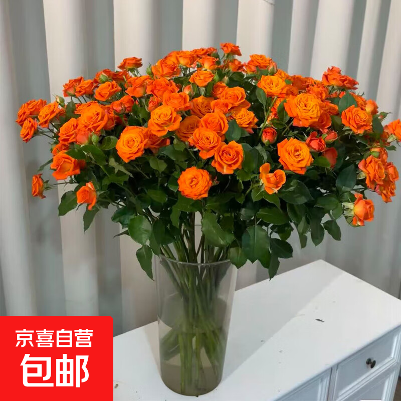 【随机玫瑰】花店同款30枝特价云南玫瑰七夕节礼物鲜切花京东快递 随机20枝送10枝