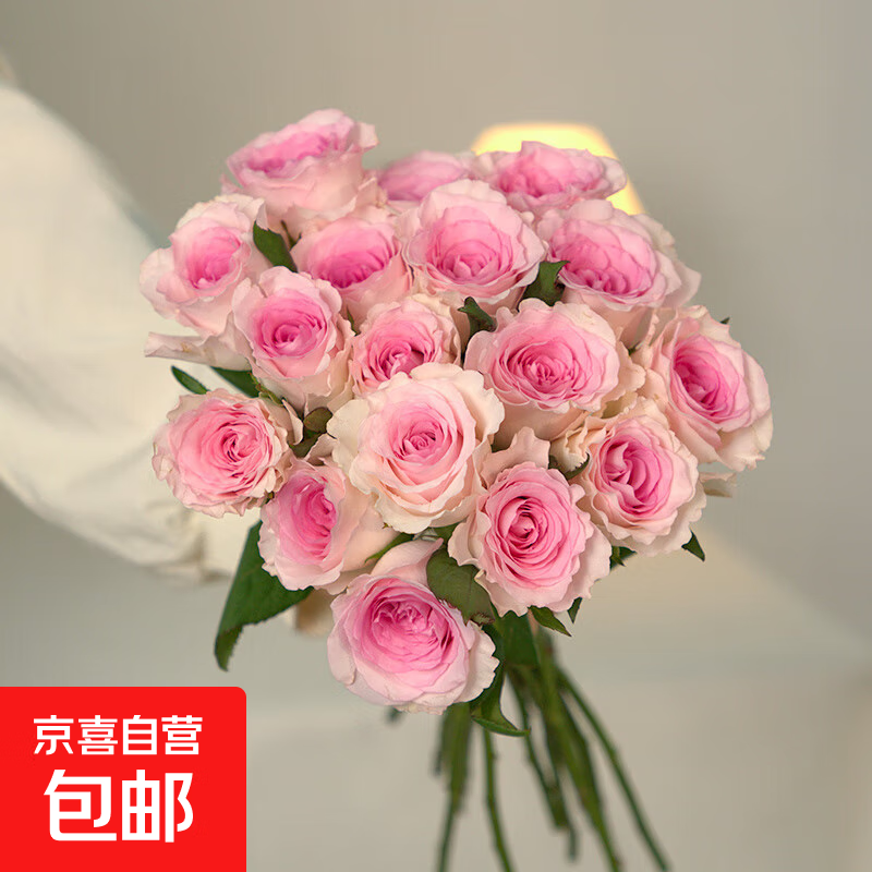 云南昆明鲜花基地直发红玫瑰花水养百合花束鲜切花向日葵京东快递 洛神玫瑰(8支+2支防损耗)