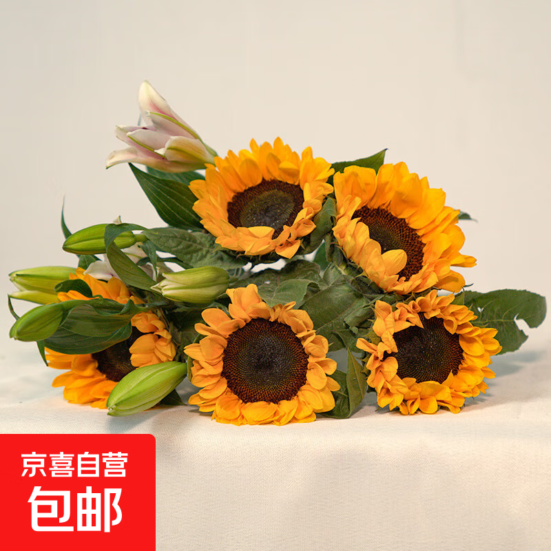 云南昆明鲜花基地直发红玫瑰花水养百合花束鲜切花向日葵京东快递 向日葵3枝