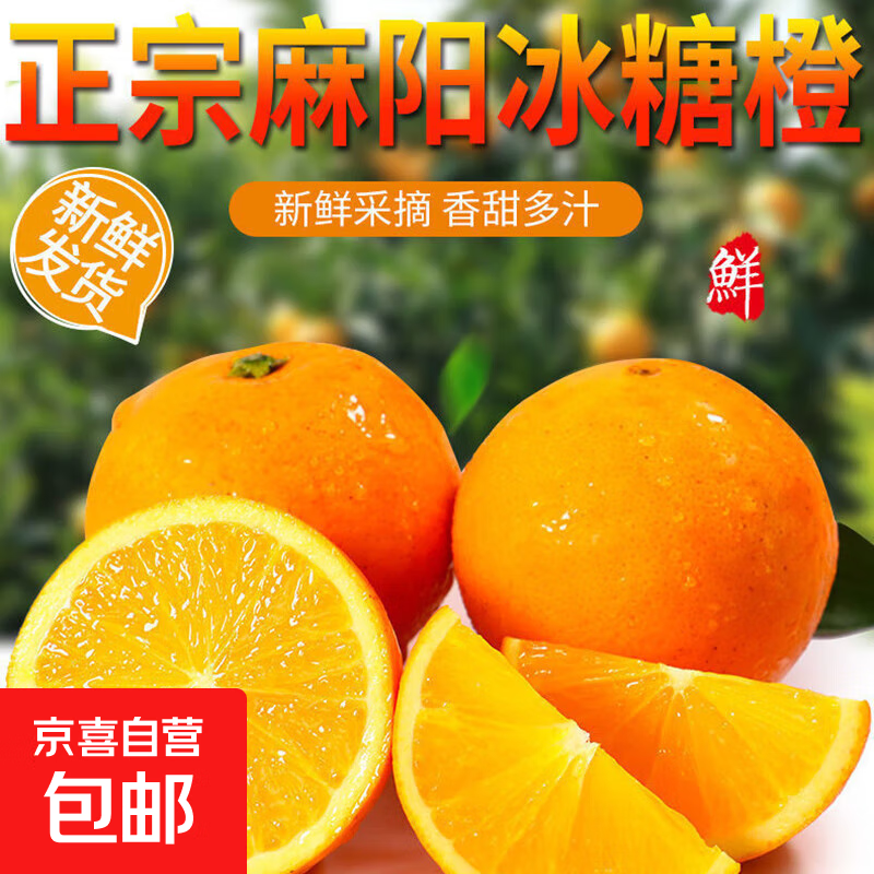 湖南麻阳芷江冰糖橙冰糖柑鲜甜爆汁应季水果树上熟 50-60mm 带箱1斤装50-60mm