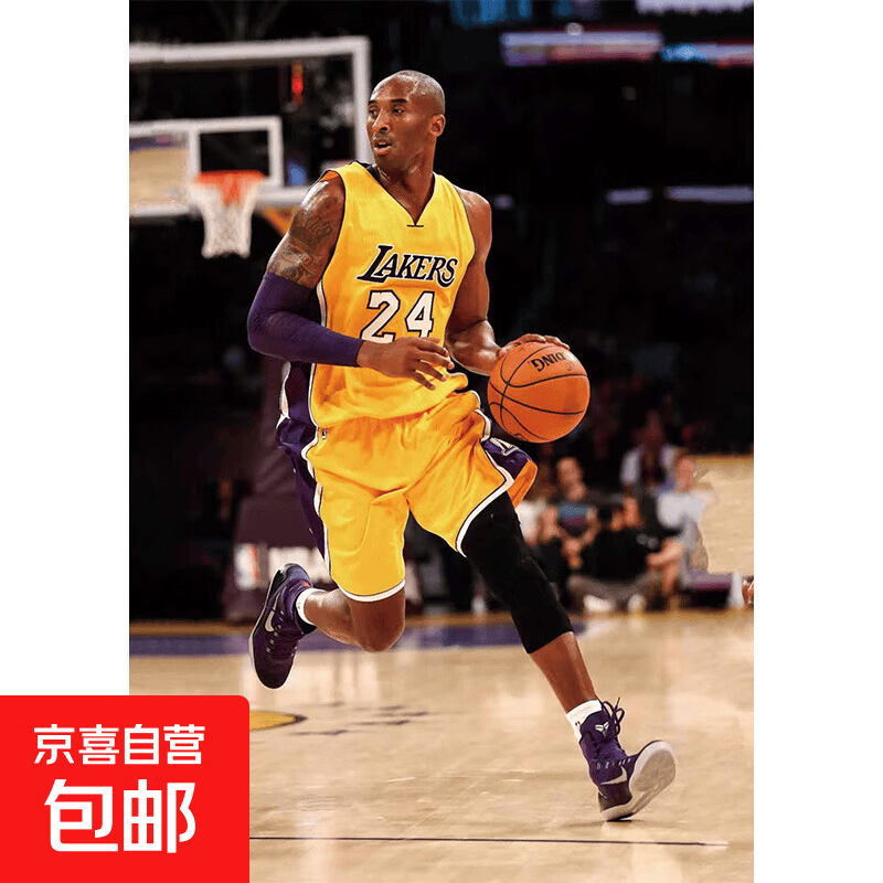 拼图1000片拼图智力创意减压治愈玩具男女生日礼物