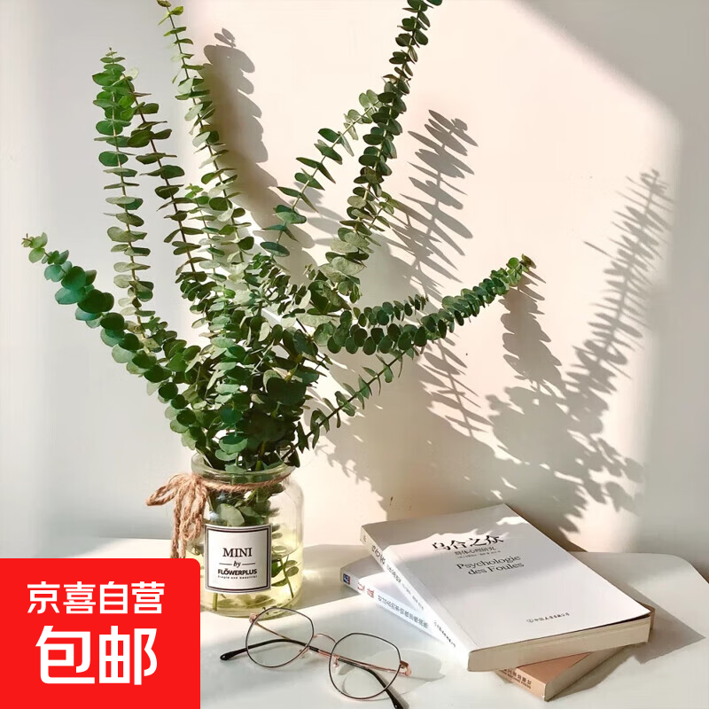 ���ϻ���ֱ��õ���ʻ�ȫ���ٵ���Ů�������������ˮ���復����� �ȼ���Ҷ10֦+���ʼ�10��