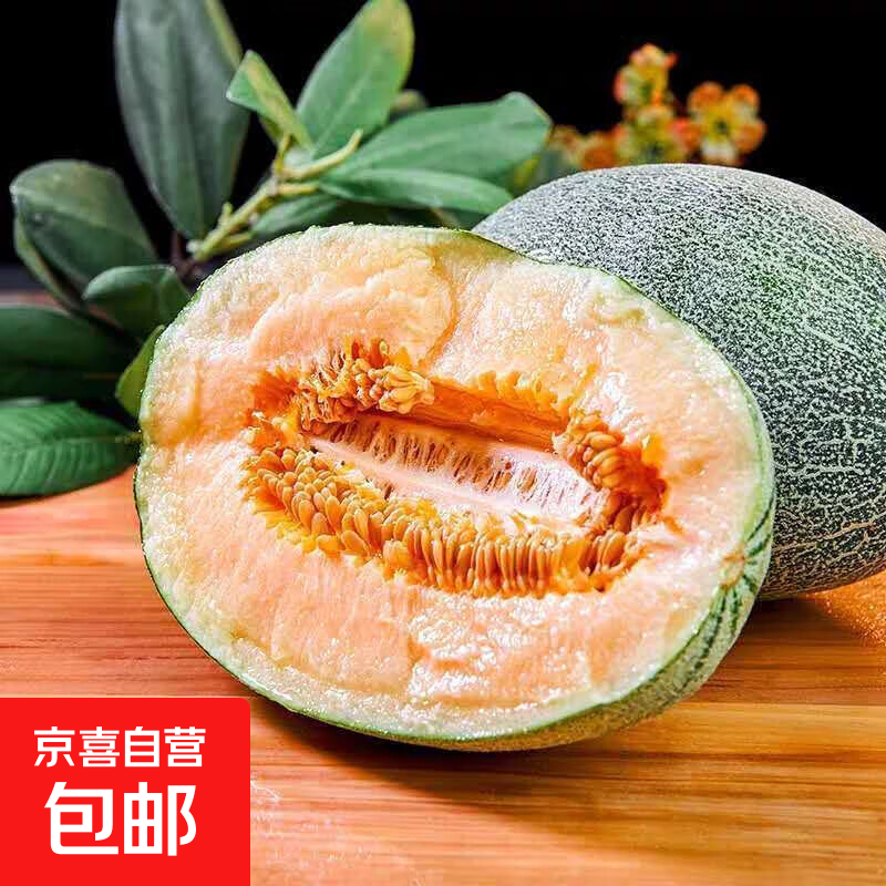 正宗哈密瓜当季新鲜水果西州蜜甜瓜批发整箱直发 哈密瓜带箱4-5斤（1-2粒装）