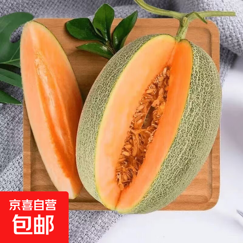 哈密瓜晓蜜25号西洲蜜新鲜甜瓜现摘整箱产地直发 1.5-2斤