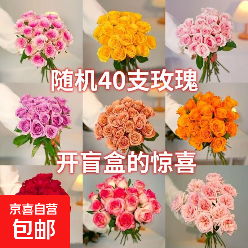 云南基地直发玫瑰鲜花全国速递配女友生日礼物家用水养插京东快递 40支随机玫瑰(1-2色)
