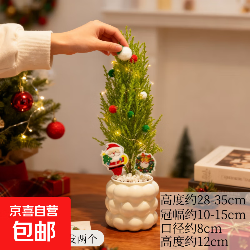 С����ʥ��������ڼ��ͺ������ļ������������ ʥ������+����������֬��ˮ��+��������