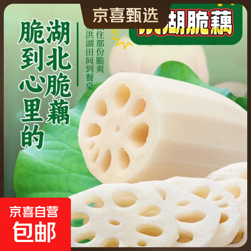 【水八仙】湖北洪湖莲藕水果新鲜脆藕现挖现发火锅食材生鲜蔬菜 新鲜脆藕5斤 净重