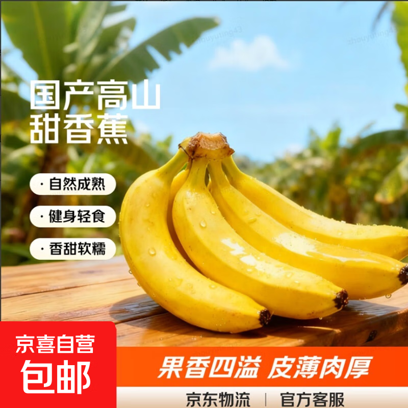 【东东农场专供】云南高山大香蕉当季水果青皮发货放熟吃新鲜水果 带箱2斤装现摘现发