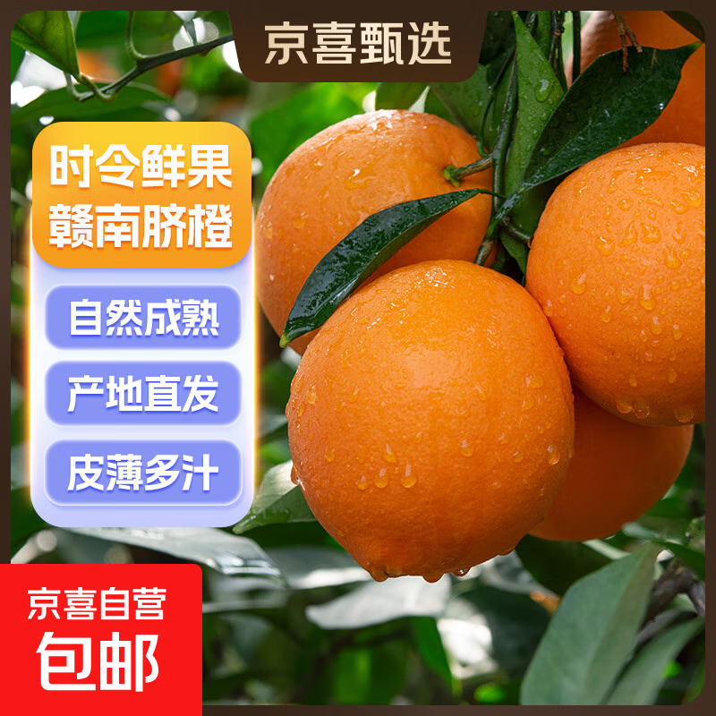 正宗赣南早橙手剥橙10斤当季水果新鲜现摘果冻橙伦晚脐橙 带箱8斤70-79mm