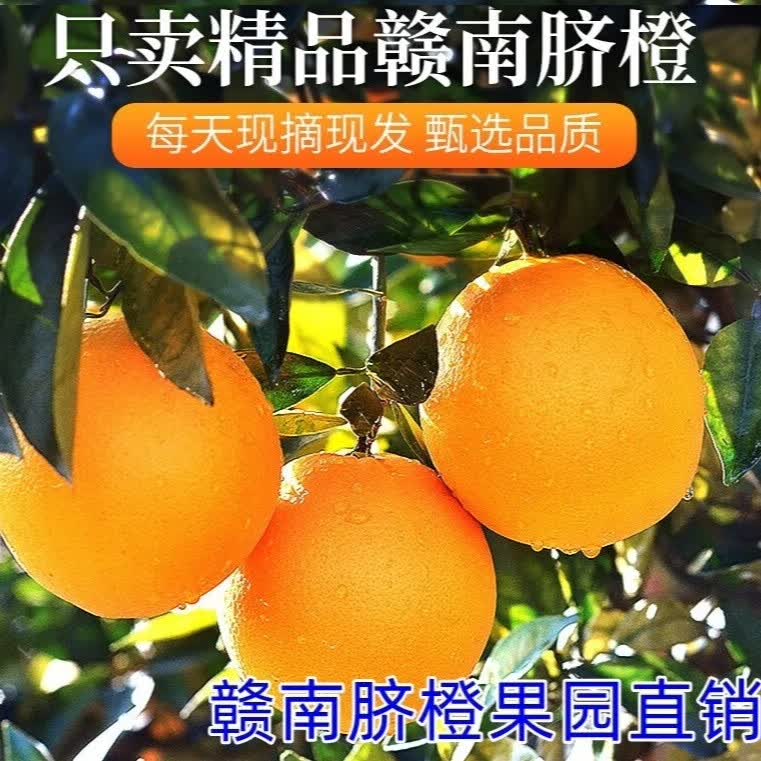 赣南脐橙正宗江西赣南脐橙赣州新鲜现摘香甜橙子孕妇水果整箱10斤产地直供 赣南脐橙70-75中果 10斤（净重9斤）