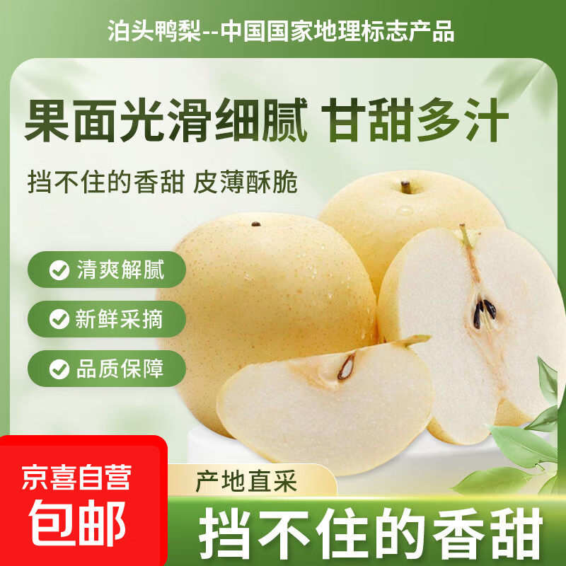 京喜加河北泊头鸭梨冬季水果清热降火云鼎新36 【含箱重】2斤