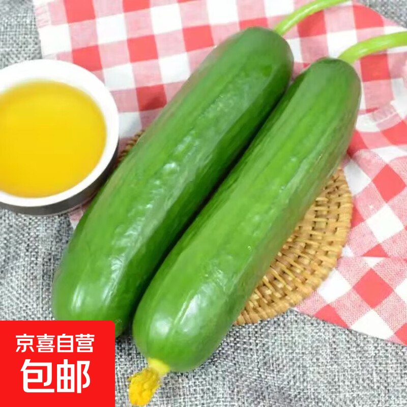 水果小黄瓜荷兰黄瓜新鲜蔬菜生鲜早餐减肥减脂现摘生吃单果90g起 畅销款 2斤 净重