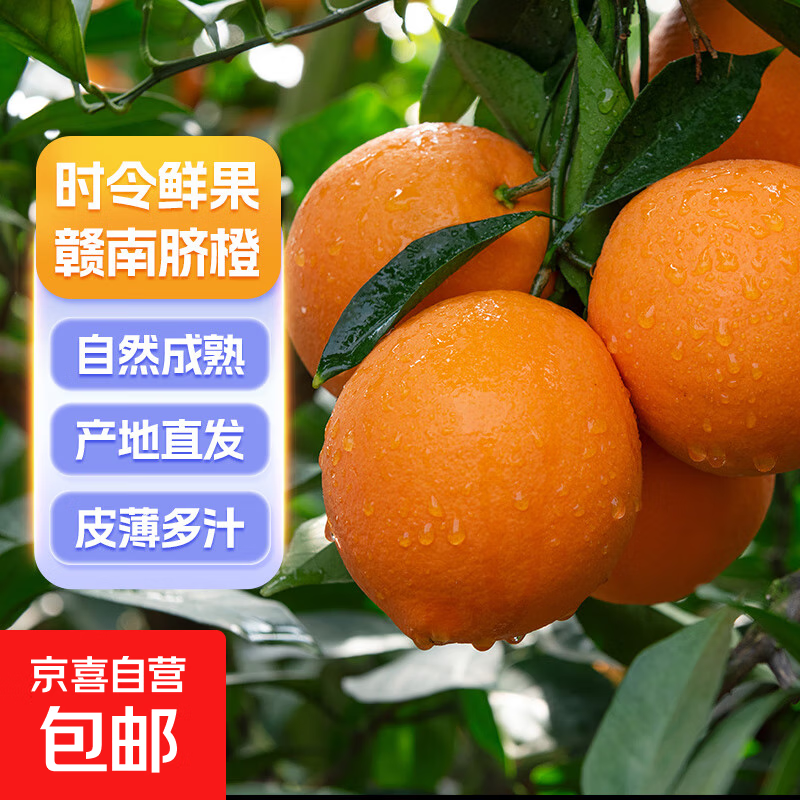 正宗产地直发江西赣南脐橙大果橙赣州橙子当季新鲜水果 1斤装（60-70MM）