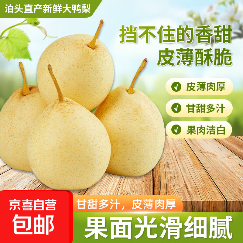 ��ϲ�Ӻӱ���ͷ��Ѽ������ˮ������ֹ�Ȼ�̵�ƶ�40 2��װ