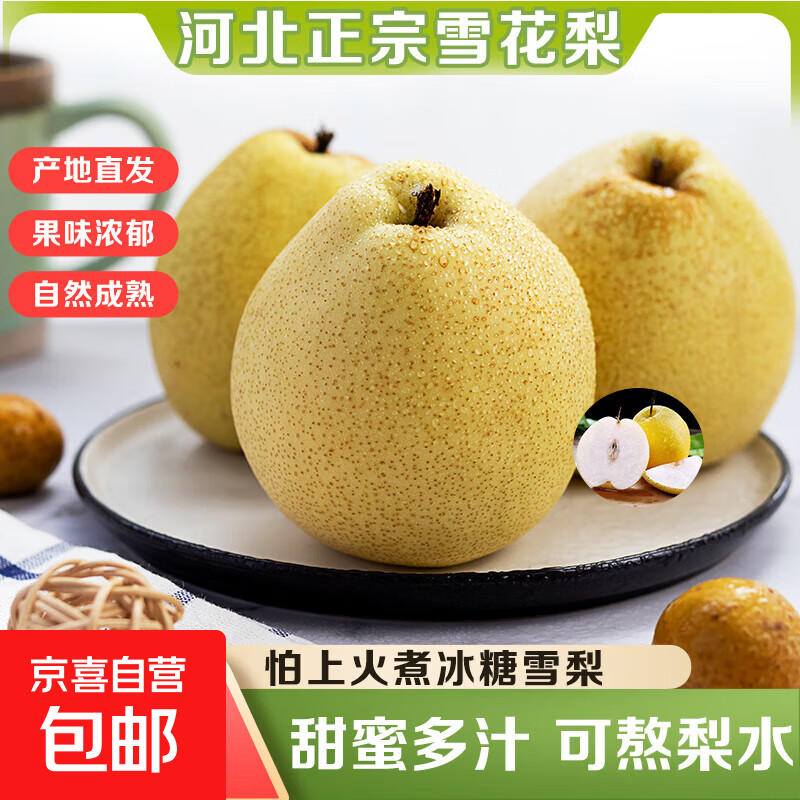京喜加河北雪花梨煲汤熬梨水冰糖雪梨润肺佳品老少皆宜小董1 [净重1.5斤]单果250g 果园直发京东快递