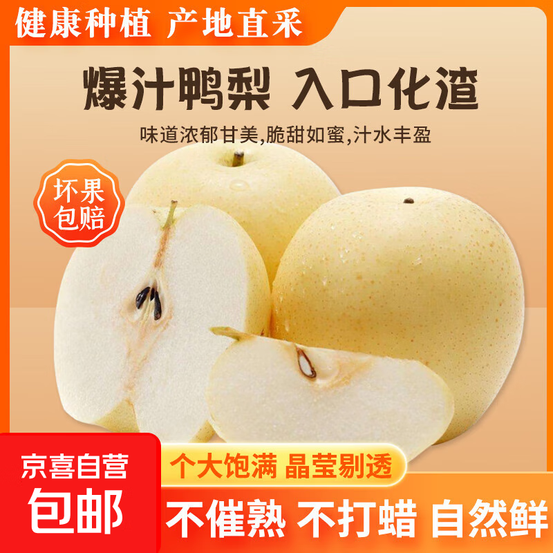 河北大鸭梨带箱2斤，4.99 - 线报酷