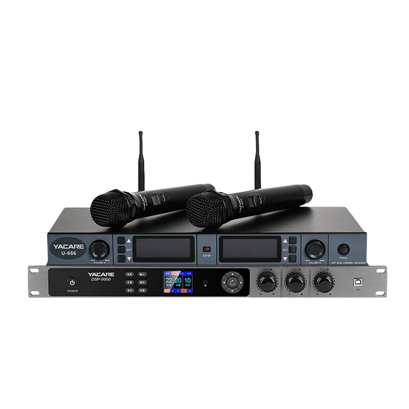 雅桥（YACARE）DSP-9900效果器 升级款二代防啸叫专业ktv混响器家用卡拉ok前级音频处理器抗干扰 DSP-9900 II升级款