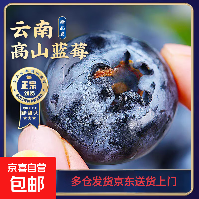 云南蓝莓皇冠蓝莓庄超大果甜蓝莓大蓝莓京东快递送货上门90-115g 小份2盒装（90g-115g/盒） 大果15mm