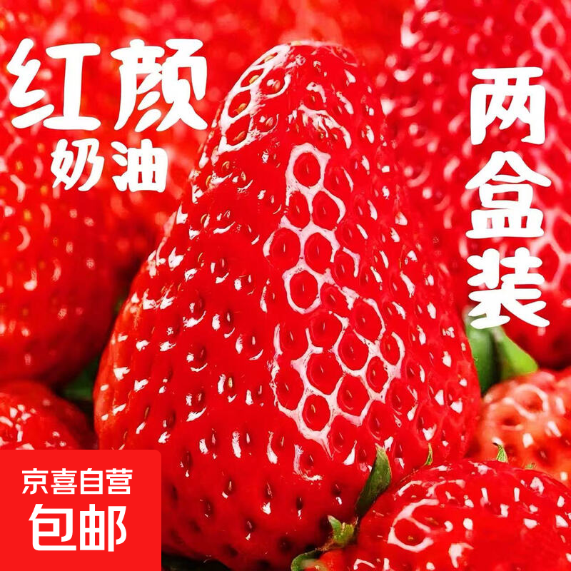 ½䡿ڴɽͲݮ99ţ̶ݮ- 1װ10g+С 19.92Ԫ