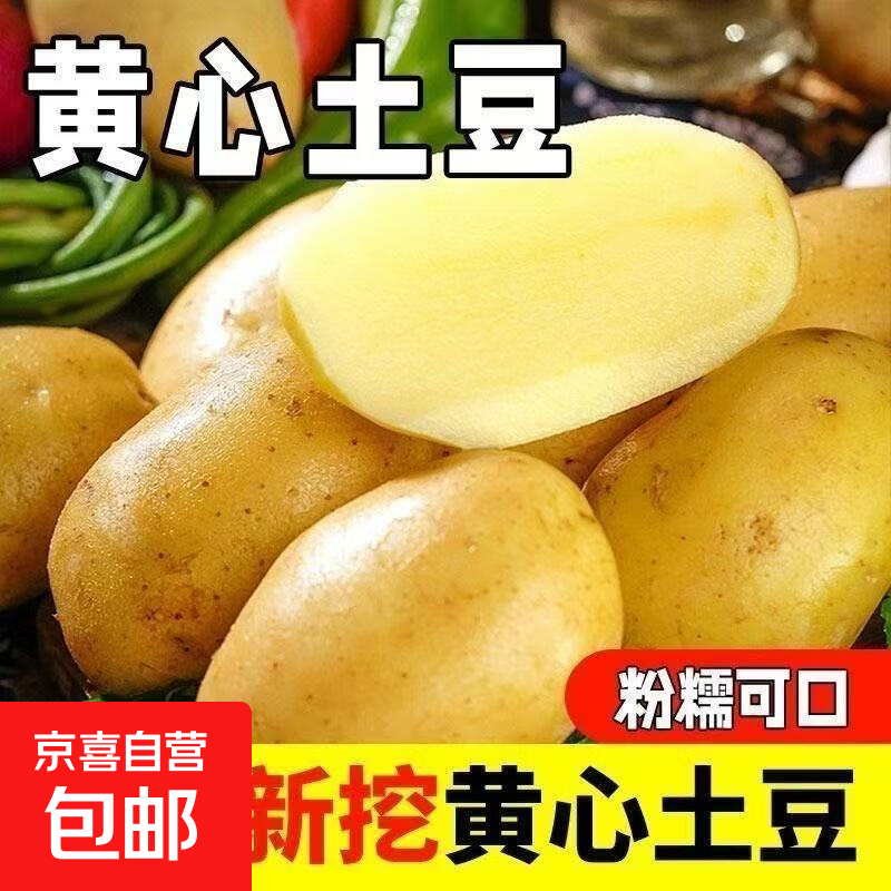 东东买菜新鲜山东黄心土豆农家自种黄皮马铃薯黄心洋芋新鲜蔬菜 山东黄心土豆大果2斤 含箱